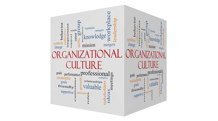 Cube - Organizational Culture
